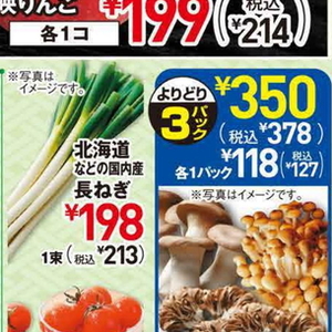 ながねぎ