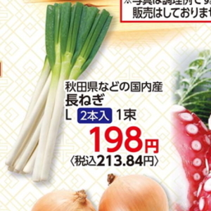 ながねぎ