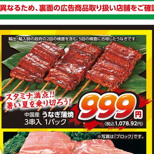 うなぎの蒲焼き