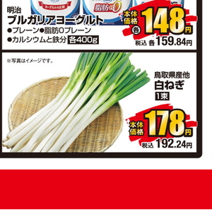 ながねぎ