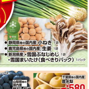 小葱