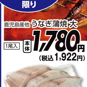 うなぎの蒲焼き