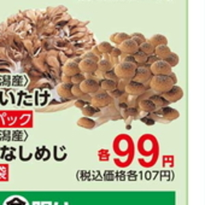 まいたけ