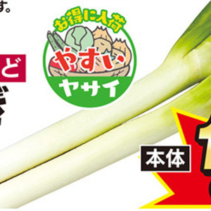ながねぎ