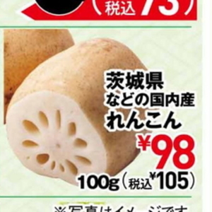 レンコン