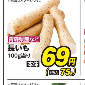 ごぼう