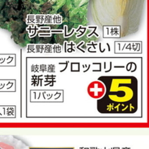 ブロッコリースプラウト