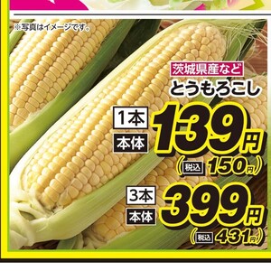 とうもろこし