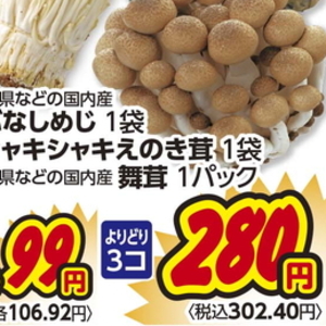 えのき茸