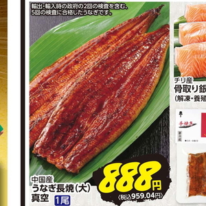 うなぎの蒲焼き