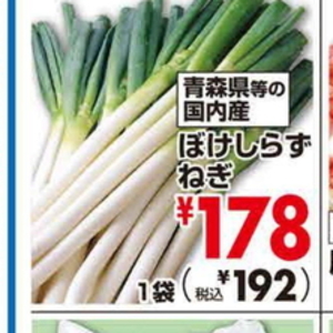 ながねぎ