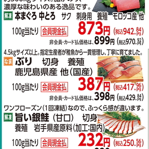 ぶり（切り身）