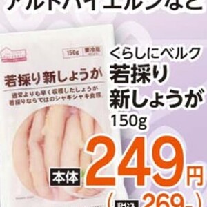 新生姜