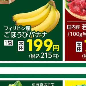 ごぼう