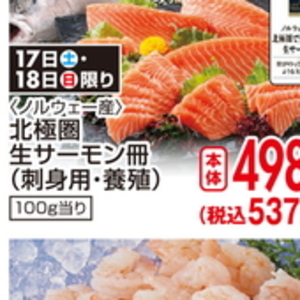 サーモン（さく取り）