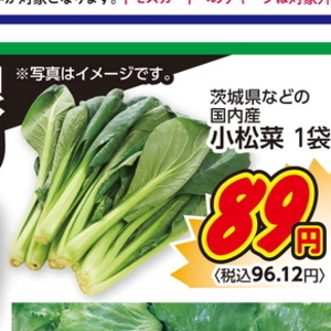 こまつ菜