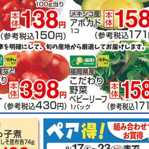 うなぎの蒲焼き