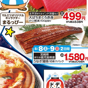 うなぎの蒲焼き