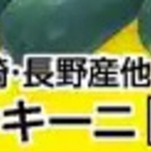 ズッキーニ