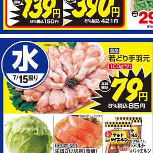 鶏手羽元