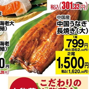うなぎの蒲焼き