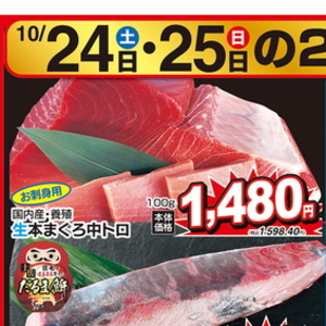 まぐろ中とろ