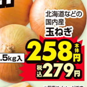 たまねぎ
