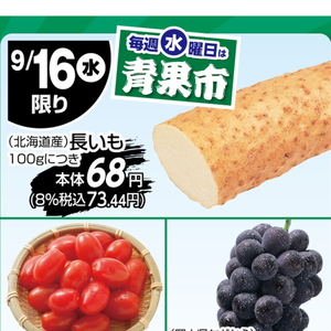 ながいも