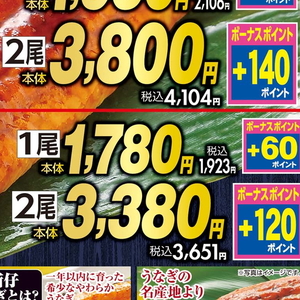 うなぎの蒲焼き