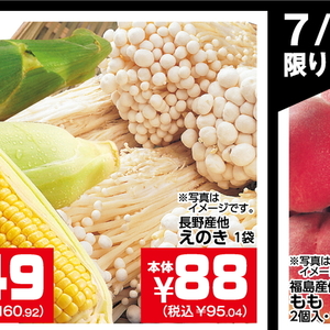 えのき茸