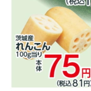 レンコン