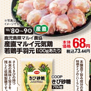 鶏手羽元