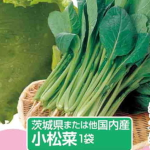 こまつ菜