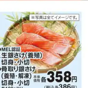さば