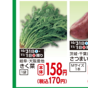 しゅんぎく（きくな）