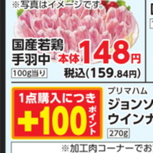 鶏手羽中