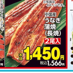 うなぎの蒲焼き