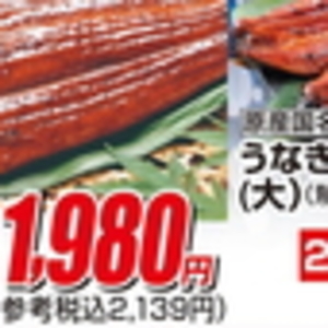 うなぎの蒲焼き