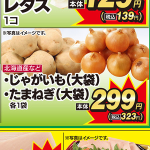 たまねぎ