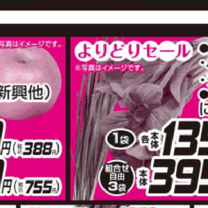 ちんげん菜