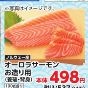 サーモン（刺身）