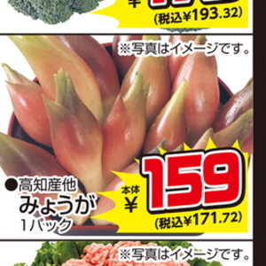 みょうが