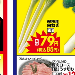 ながねぎ