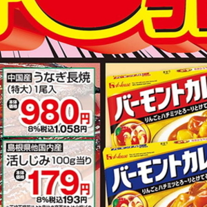 うなぎの蒲焼き