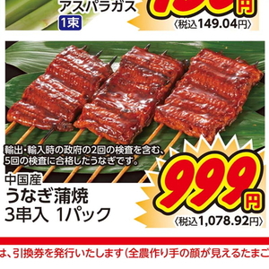 うなぎの蒲焼き