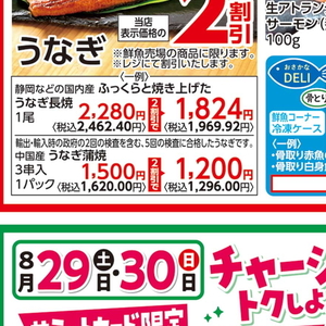 うなぎの蒲焼き