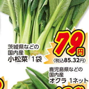 こまつ菜