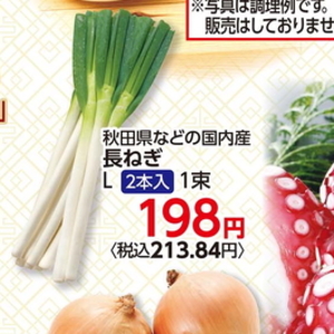 ながねぎ