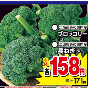 ながねぎ
