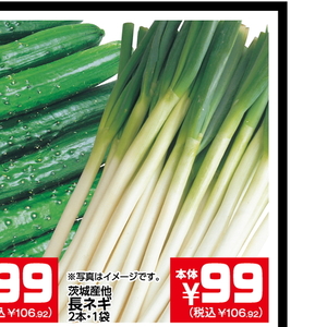 ながねぎ